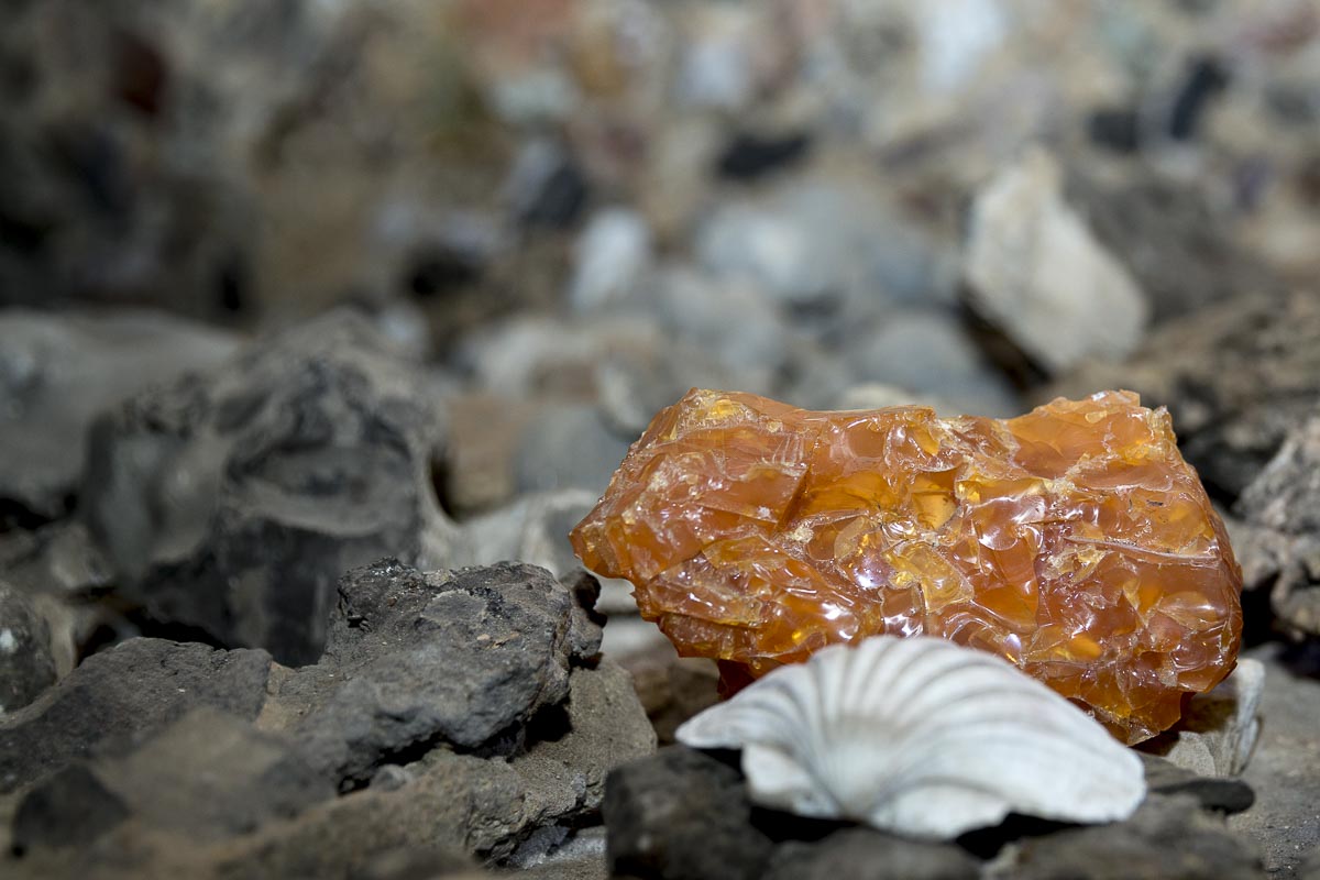 Giles Abbott at Pope’s Grotto - Popes Grotto, Quartz And Shell - May 21, 2016