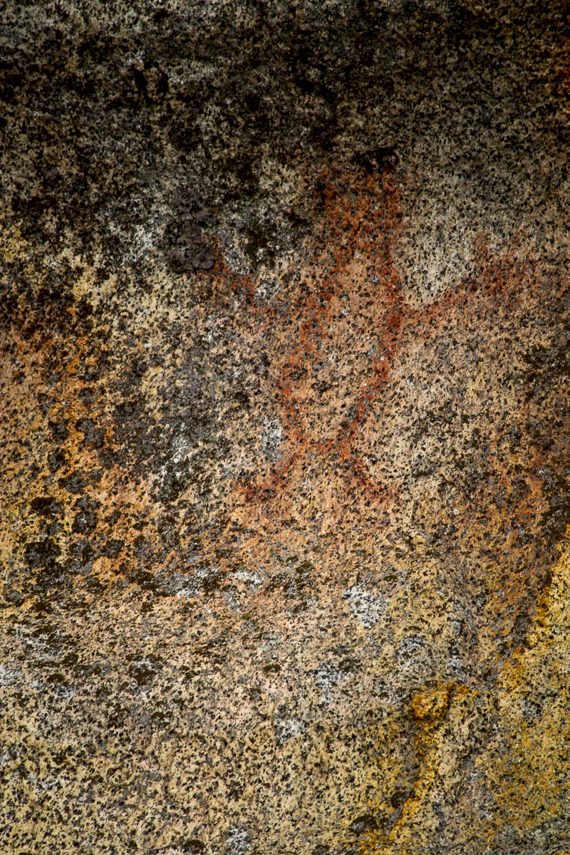 Great Bear Rainforest - Rock Painting - September 21, 2011