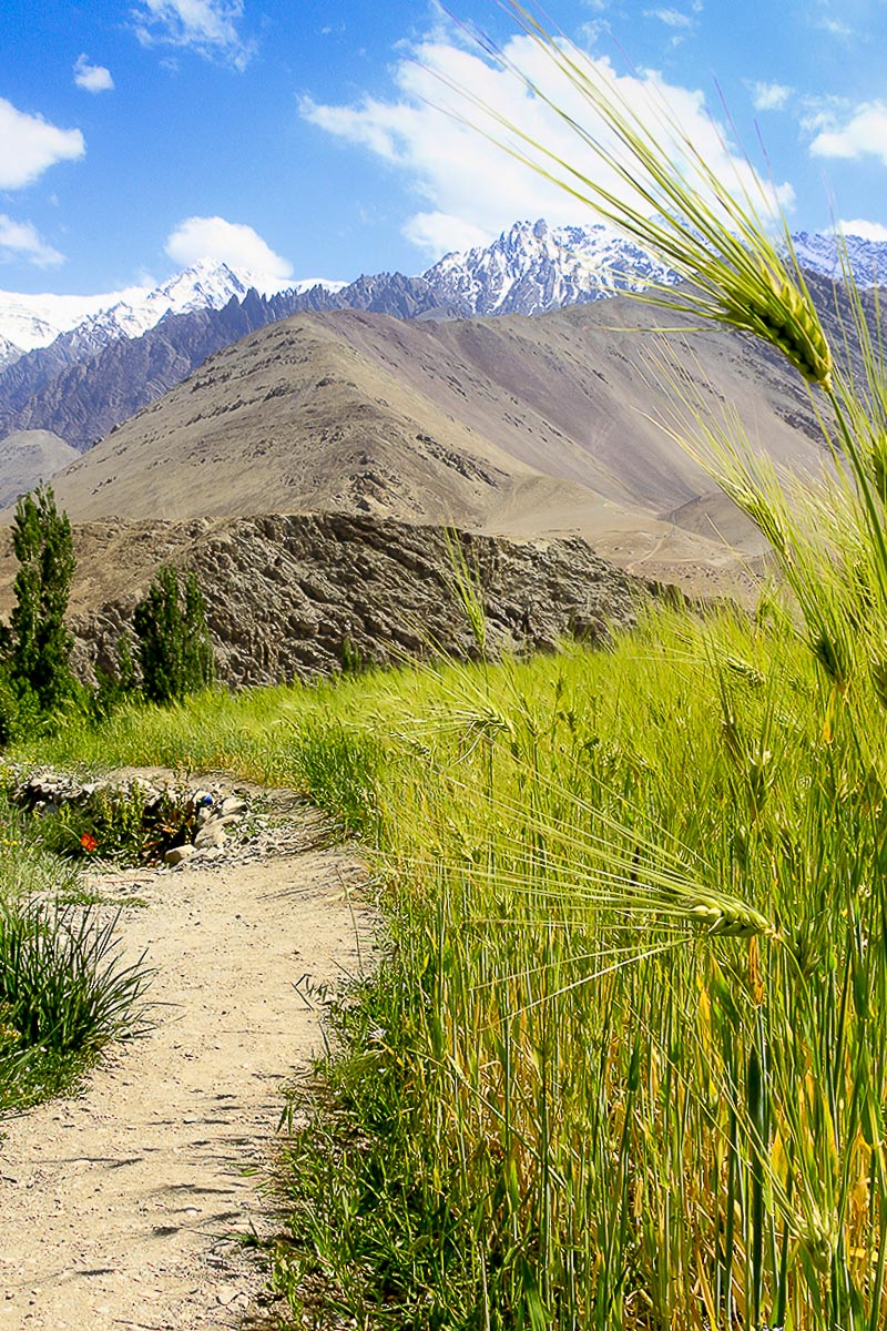 Ladakh - Road To Liker - June 22, 2012