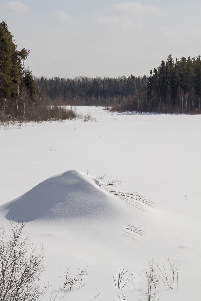 Saskatchewan - Prince Albert Park, Beaver Lodge - March 7, 2011
