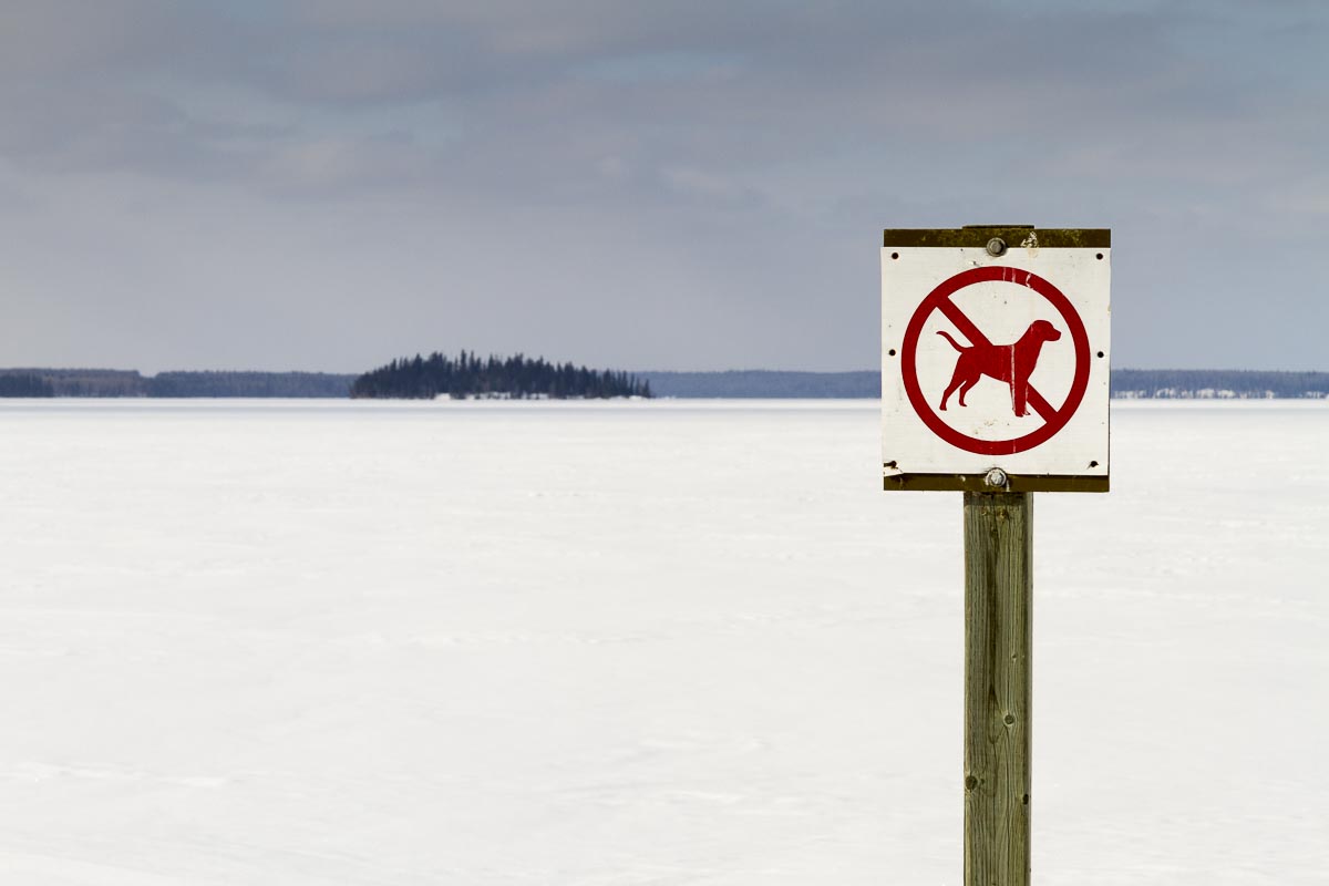 Saskatchewan - Prince Albert Park, Paignton Beach - March 7, 2011