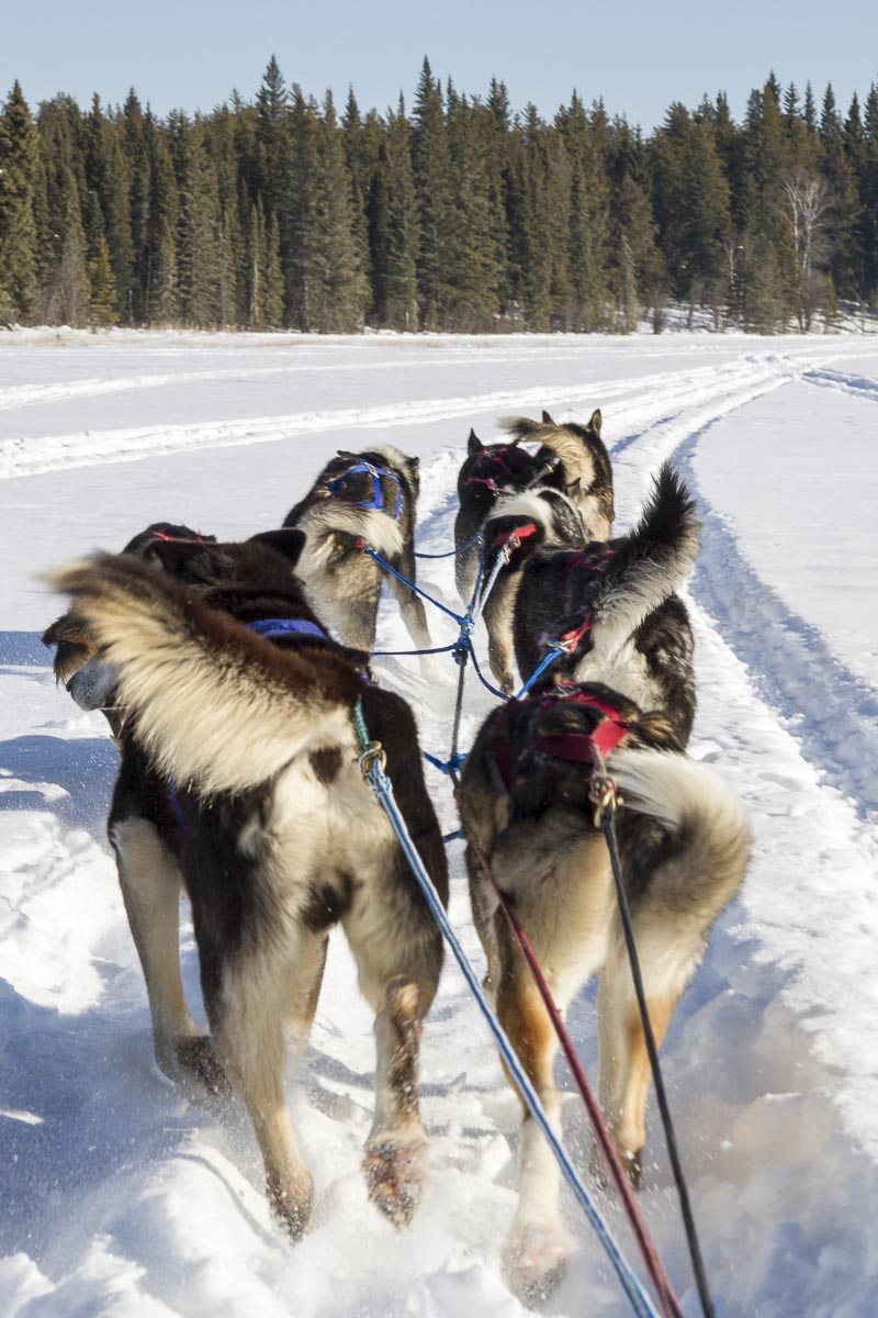 Saskatchewan - Prince Albert Park, Sundogs Sledding - March 9, 2011