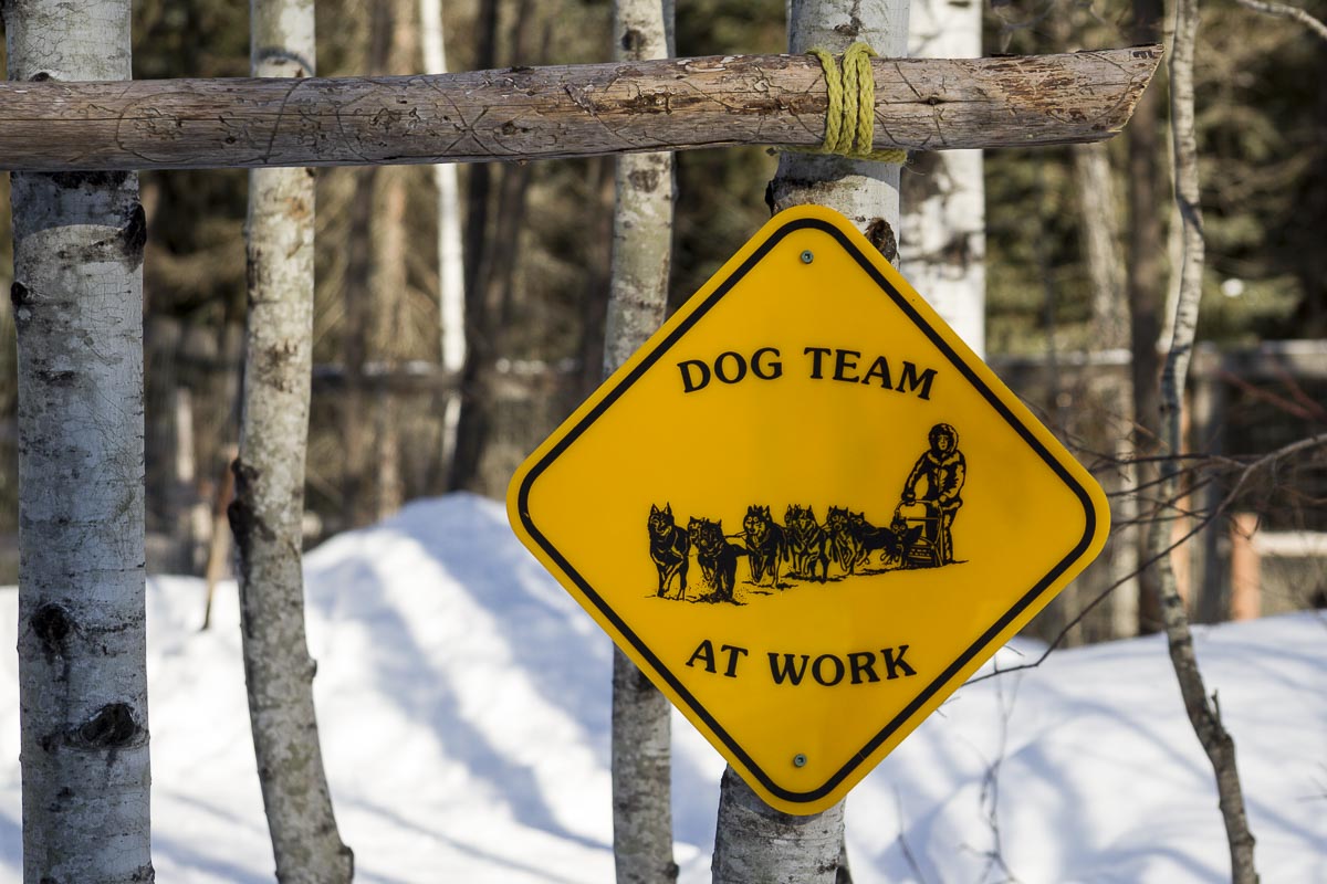 Saskatchewan - Prince Albert Park, Sundogs Sledding - March 9, 2011