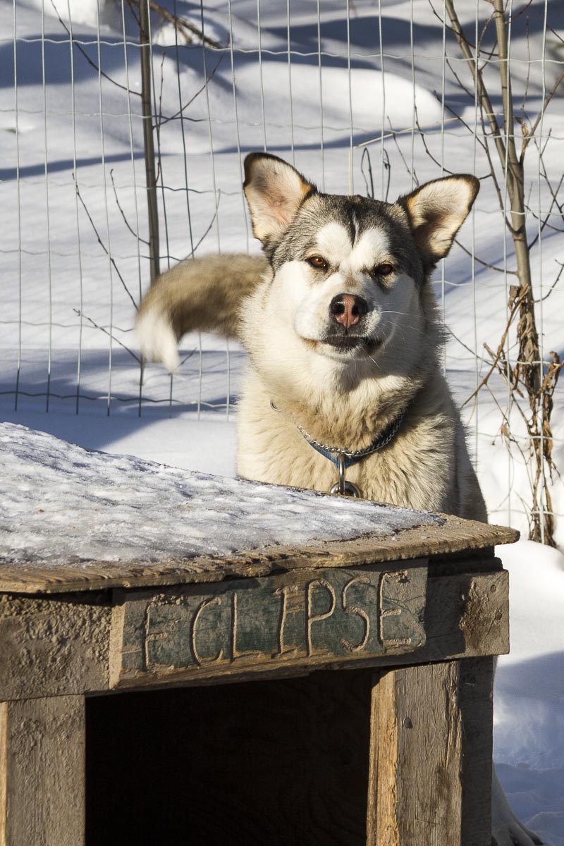 Saskatchewan - Prince Albert Park, Sundogs Sledding - March 9, 2011