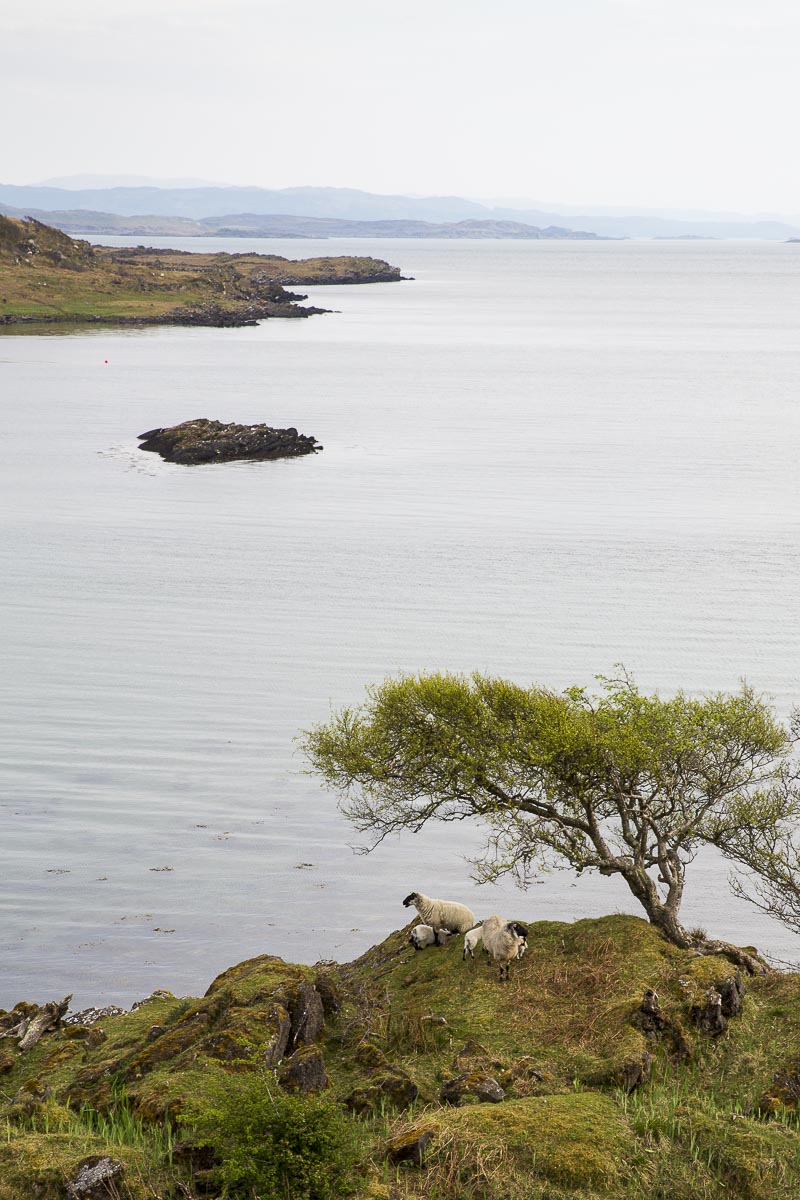 Argyll Scotland - Shuna - May 8, 2016