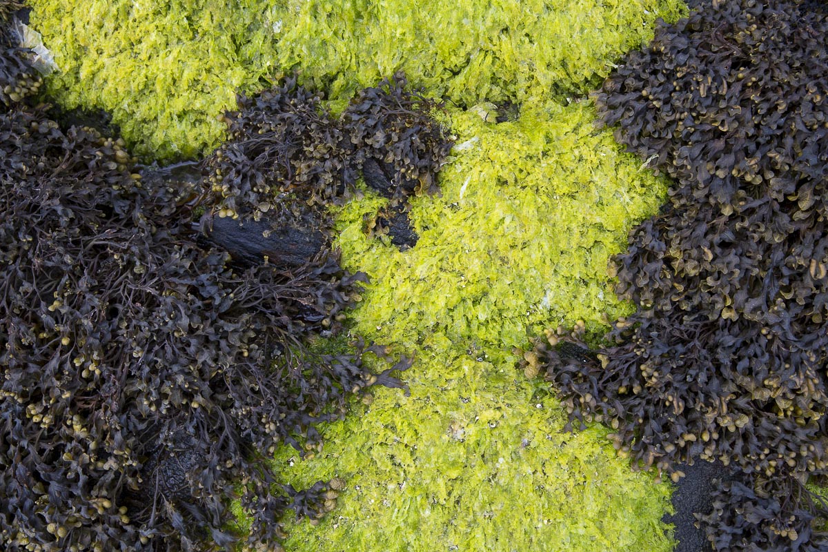 Argyll Scotland - Shuna - May 8, 2016