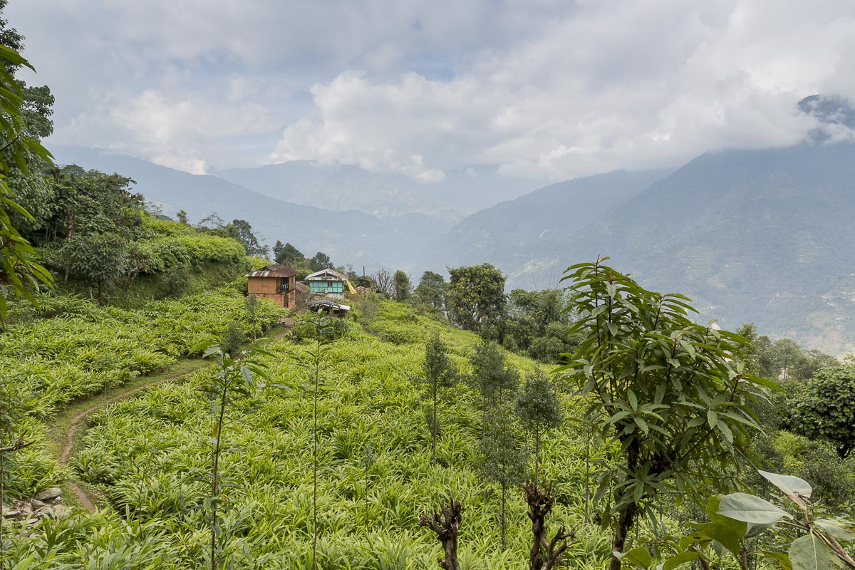 Sikkim - Radhu Khandu - November 27, 2015