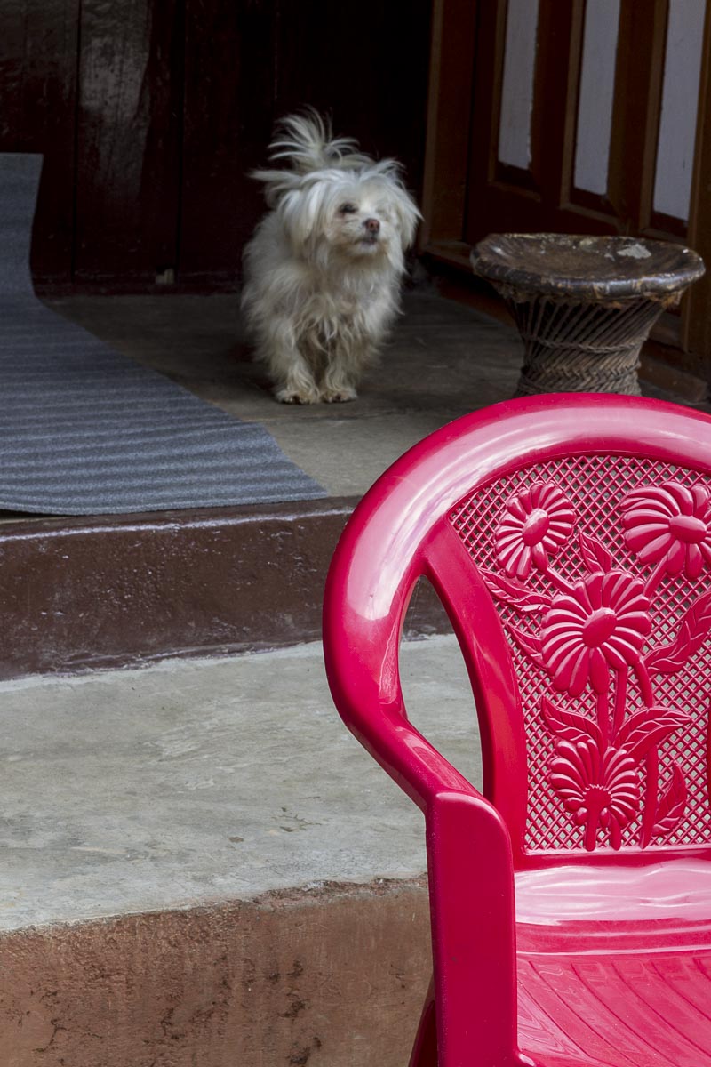 Sikkim - Radhu Khandu - November 27, 2015