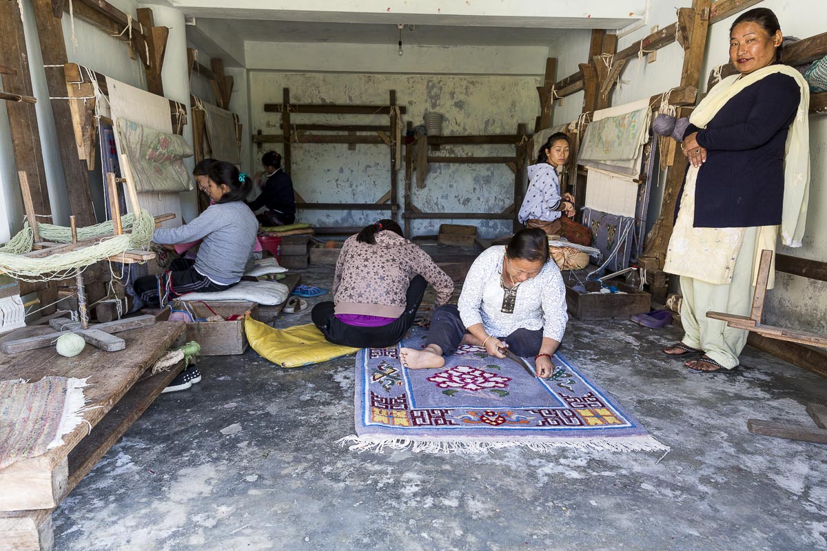 Sikkim - Rinchenpong, Carpet Workshop - November 24, 2015