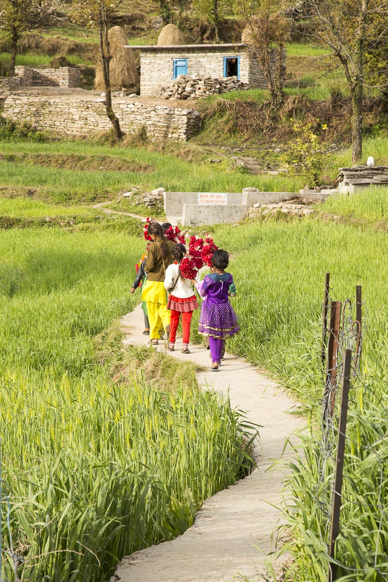 Uttarakhand - Sarayu Valley, Supi, Flower Festival - March 14, 2013