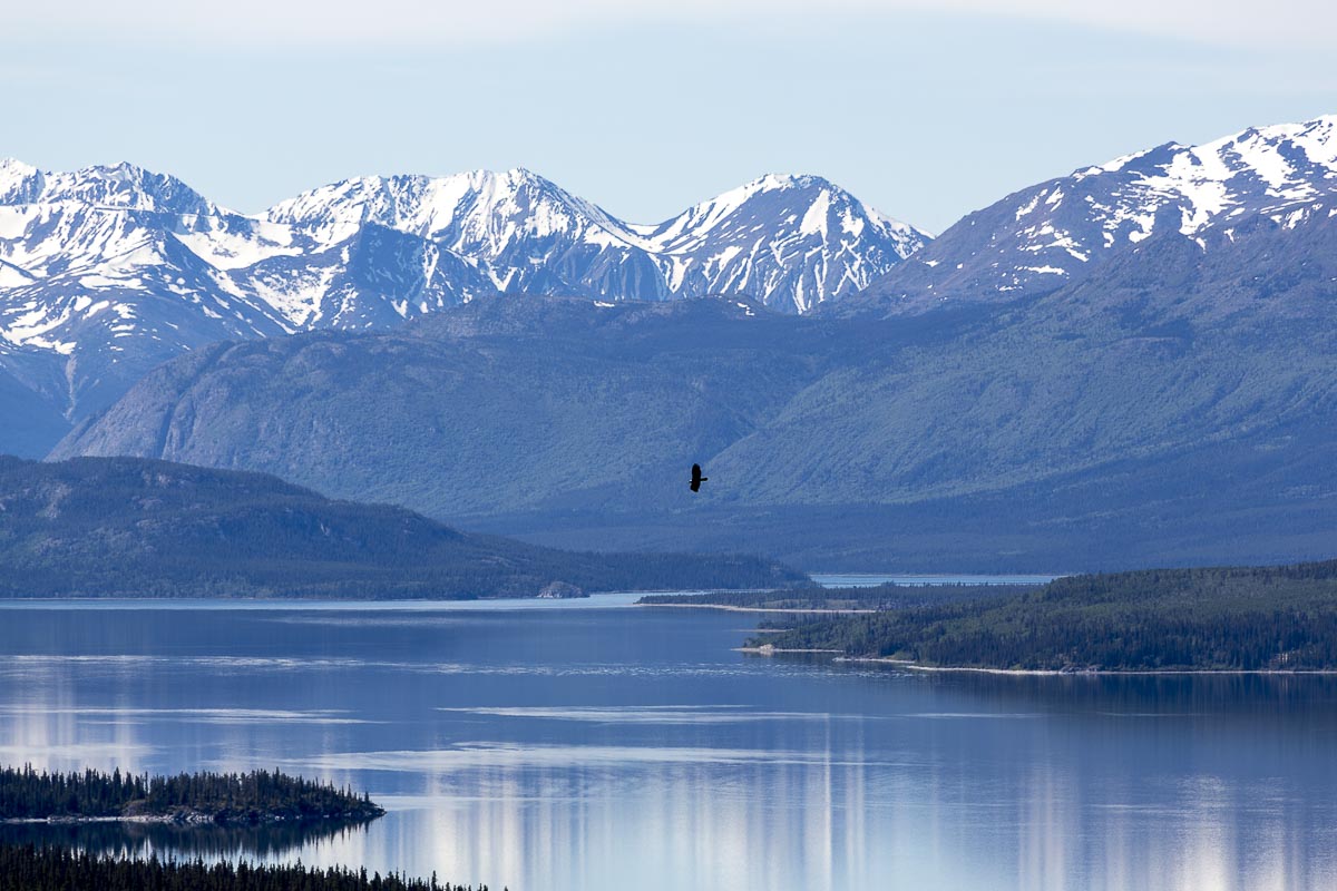 Yukon - Tagish Lake - June 27, 2014