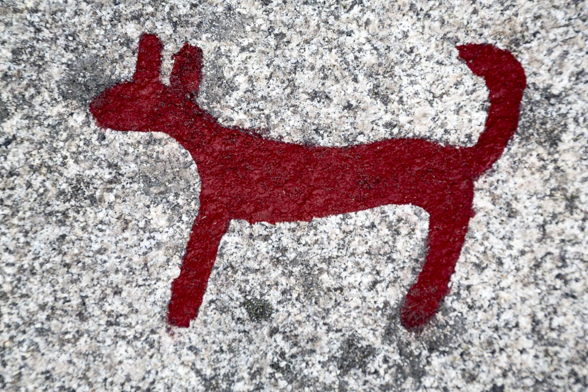 West Sweden - Tanum, Vitlycke Rock Art Museum - June 12, 2013