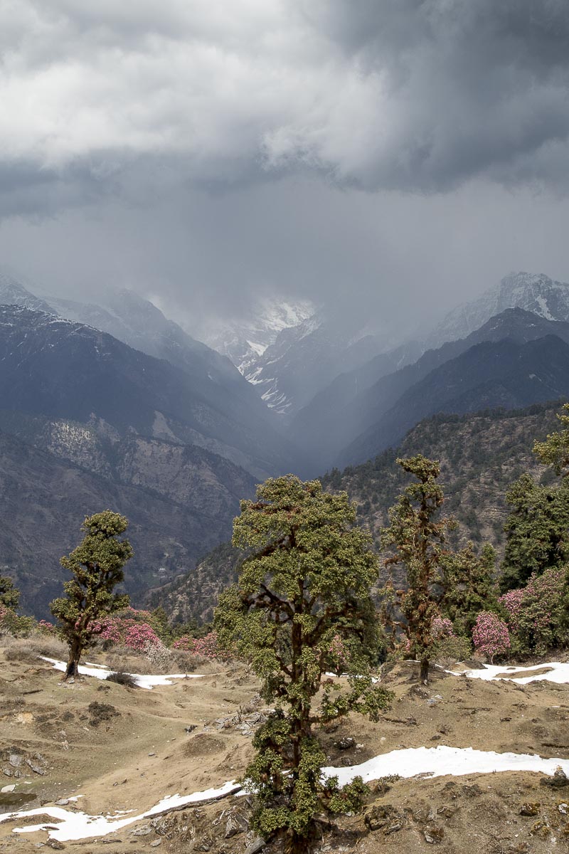 Uttarakhand - Pindar Valley - March 17, 2013