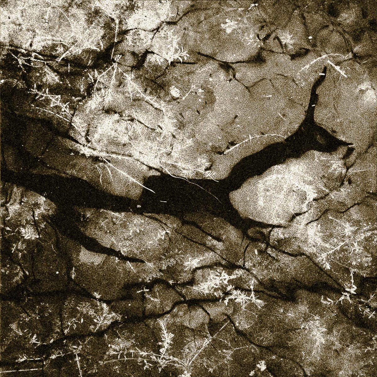 Gate Of Secrets - The Pool Reflects A Stag - April 25, 2013