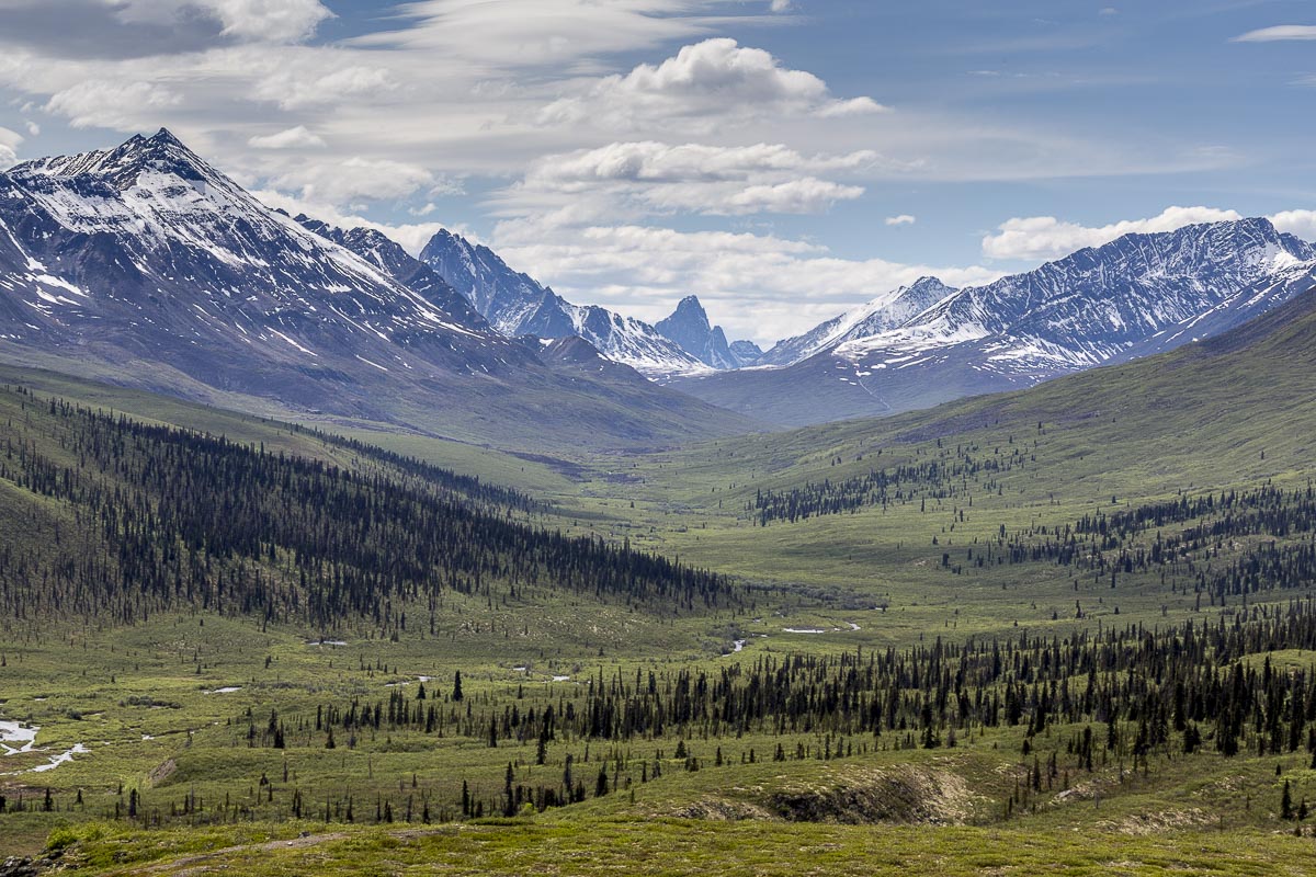 Yukon - Dempster Highway, Tombstone Park - June 20, 2014