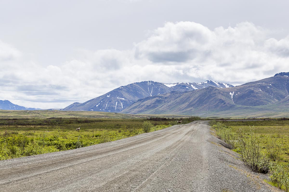 Yukon - Dempster Highway, Arctic Bound - June 21, 2014