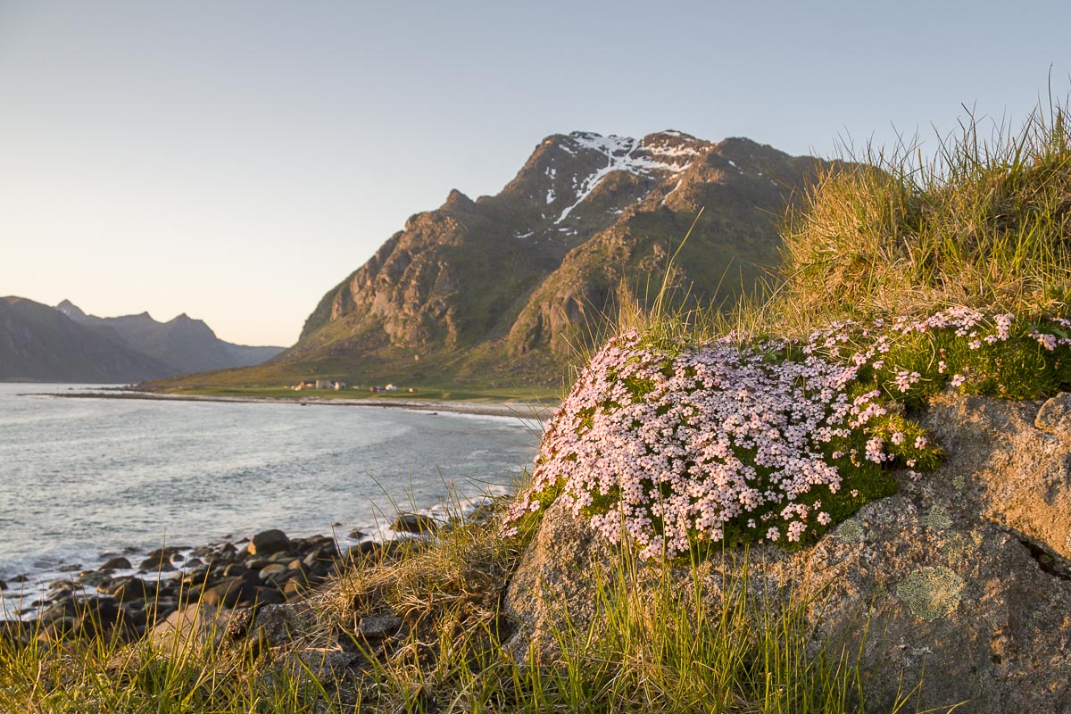 Lofoten Norway - Utakliev - June 10, 2008