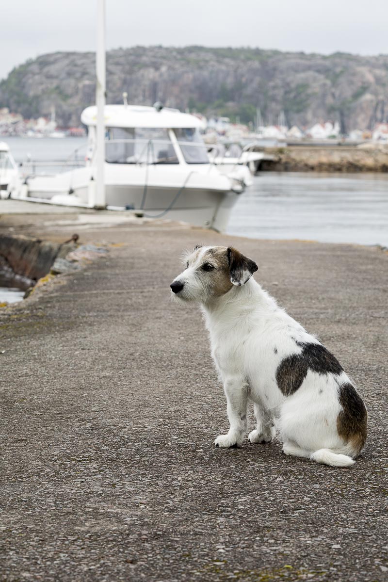 West Sweden - Valo Island - June 13, 2013