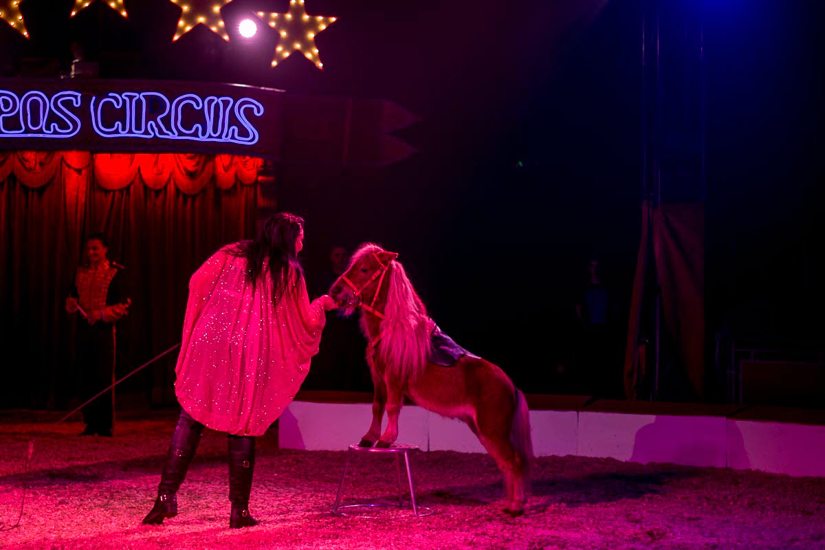 Zippos Circus - Circus Equestrienne, Summer Roberts, Twickenham Green - September 7, 2015