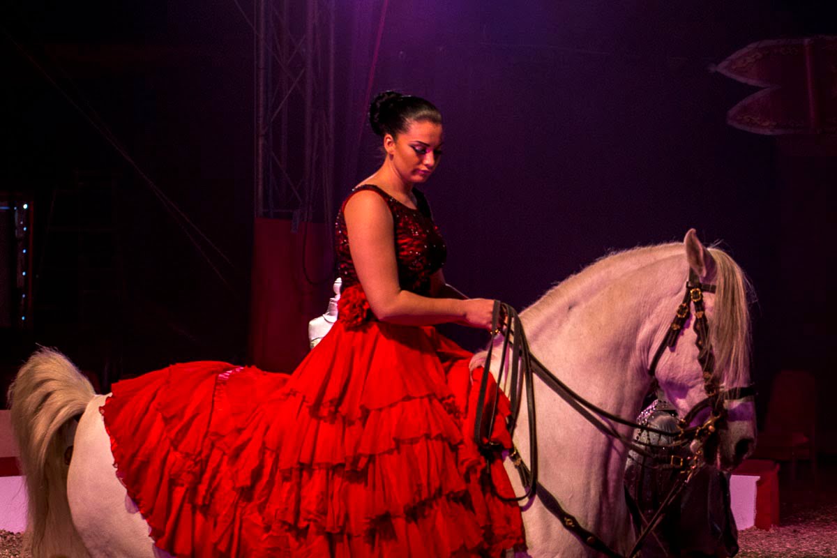 Zippos Circus - Circus Equestrienne, Summer Roberts, Twickenham Green - September 22, 2014