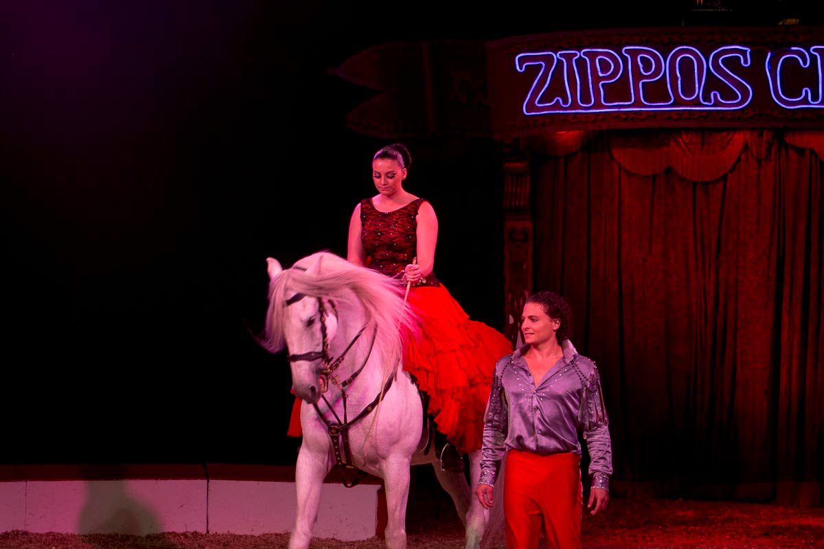 Zippos Circus - Circus Equestrienne, Summer Roberts, Twickenham Green - September 22, 2014