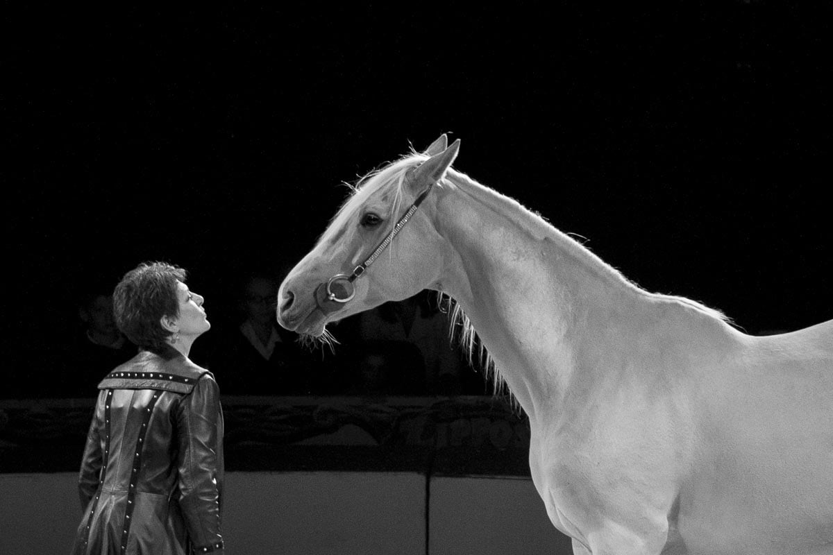 Zippos Circus - Circus Equestrienne, Yasmine Smart And Horse, Twickenham Green - September 25, 2012