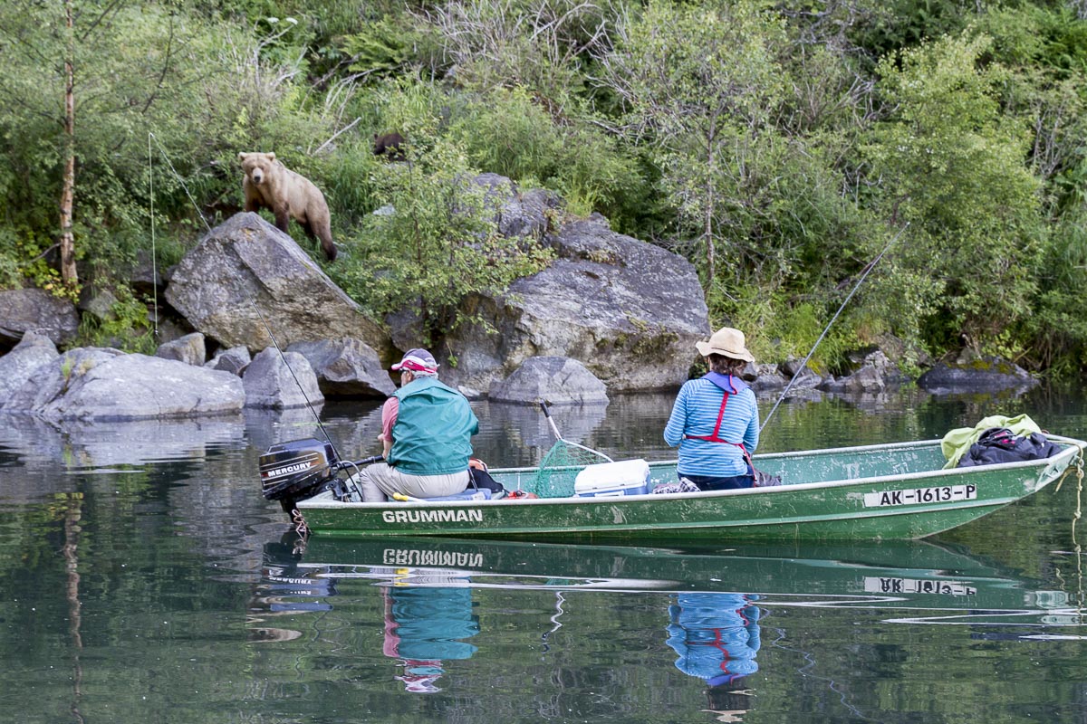 Alaska - Lake Clark National Park, Wolverine Creek Coastal Brown Bear And Fishermen - June 22, 2016