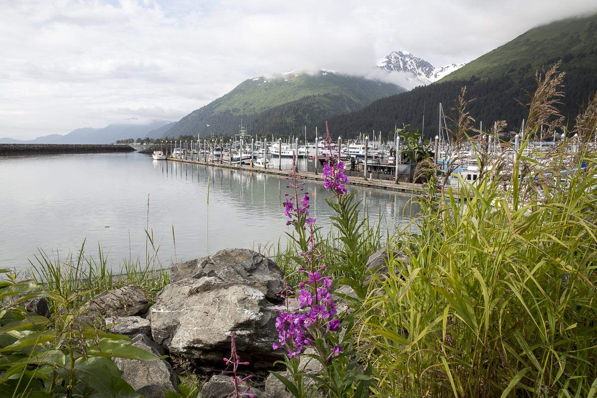 Alaska - Seward, Harbour - June 23, 2016