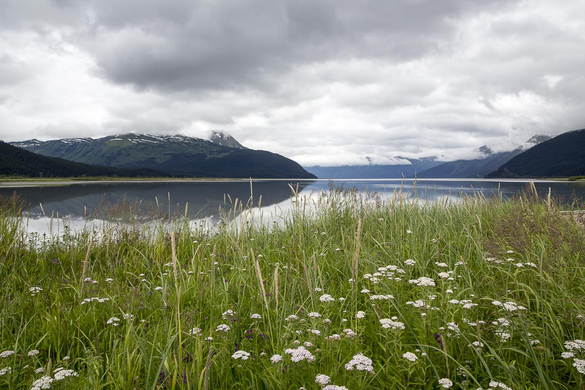 Alaska - Turnagain Arm - June 26, 2016