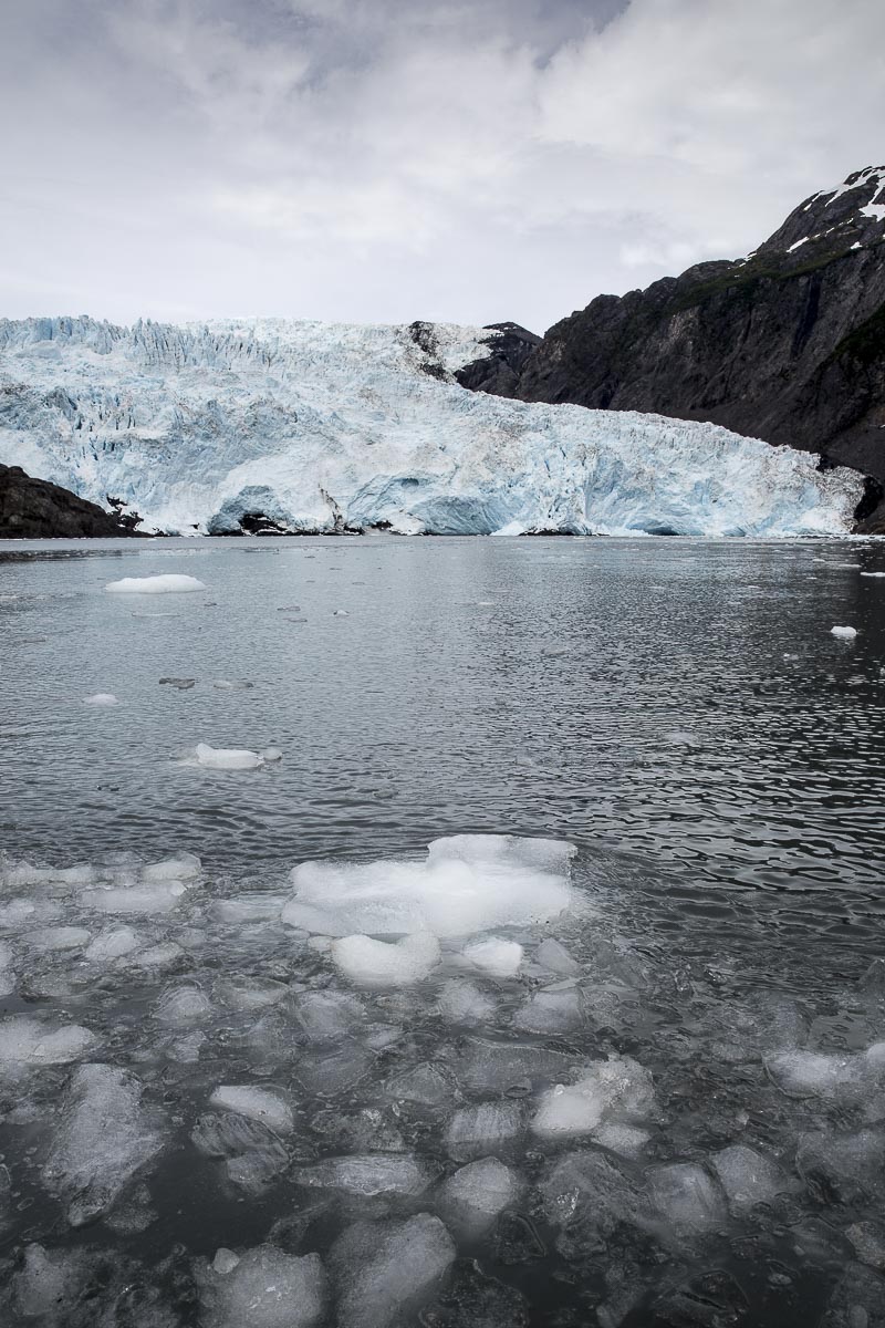 Alaska - Kenai Fjords, Holgate Glacier - June 23, 2016