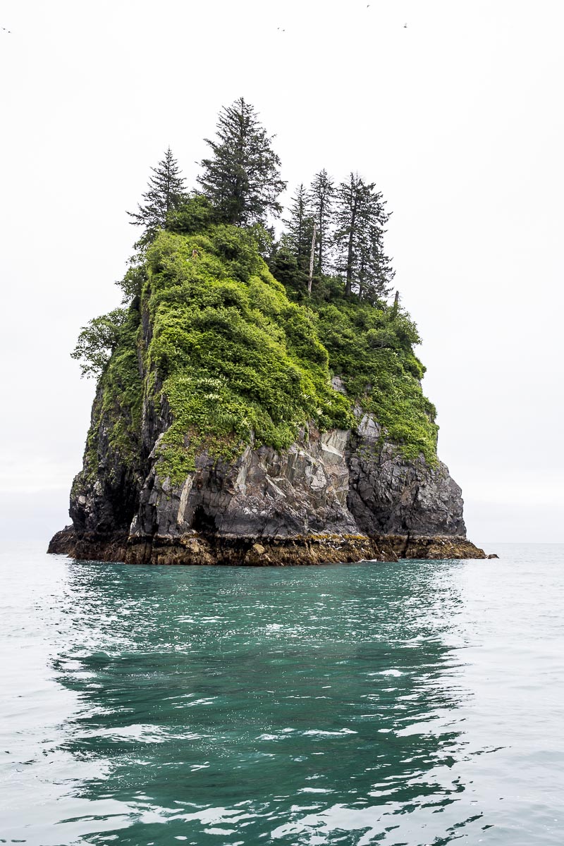 Alaska - Kenai Fjords, Resurrection Bay, Island - June 23, 2016
