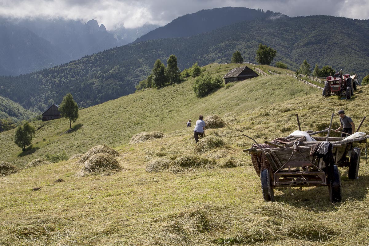 Romania - Inn At Balaban - June 22, 2015
