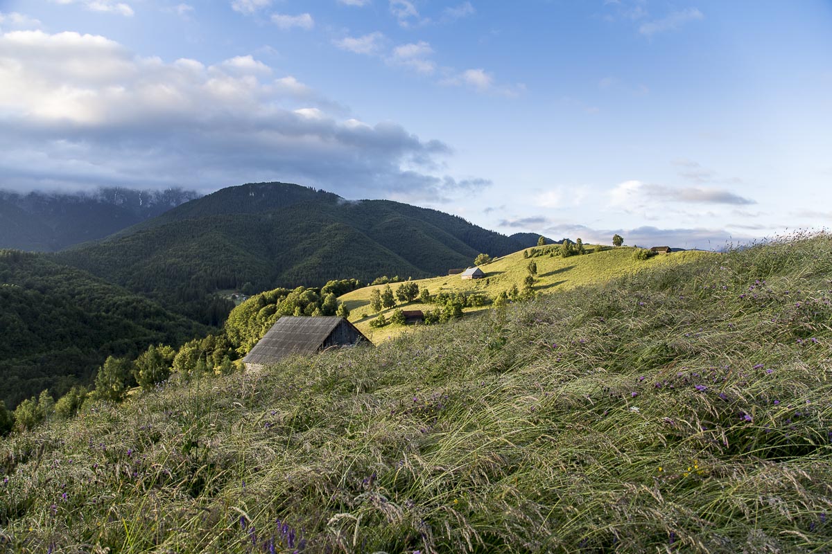 Romania - Inn At Balaban - June 22, 2015