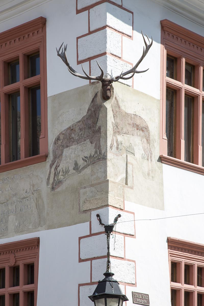 Romania - Sighisoara, Stag House - June 22, 2015