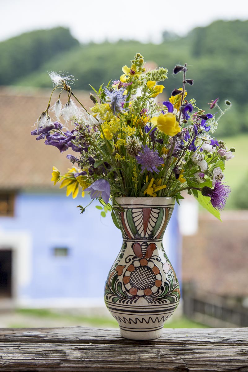 Romania - Zalanpatak, Meadow Flowers - June 25, 2015