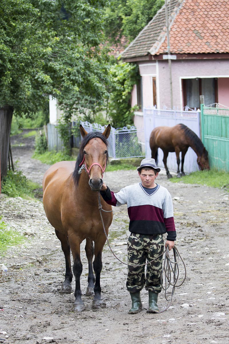 Romania - Zalanpatak Village Boy And Horse - June 25, 2015