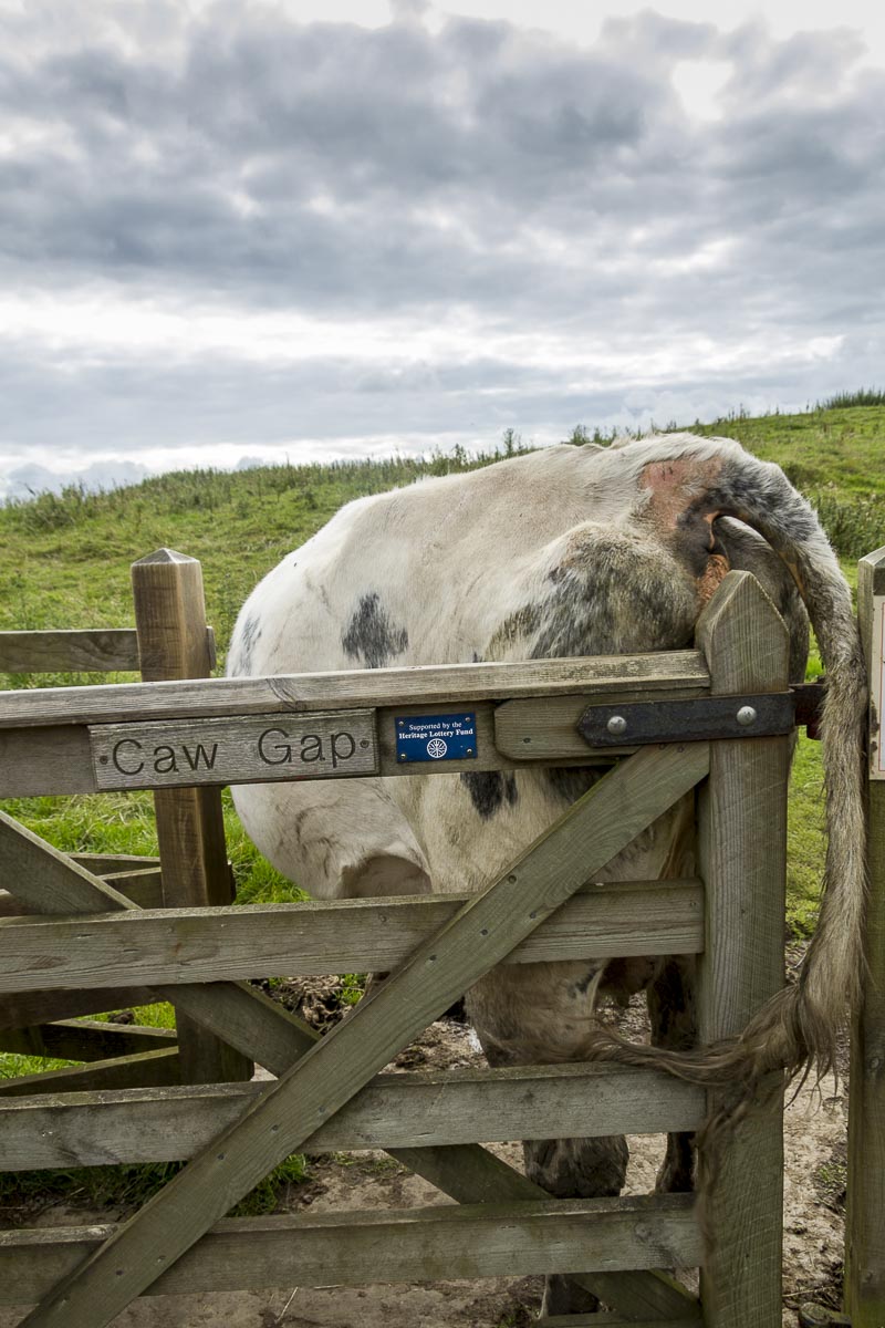 Hadrian’s Wall Walk - August 17, 2011