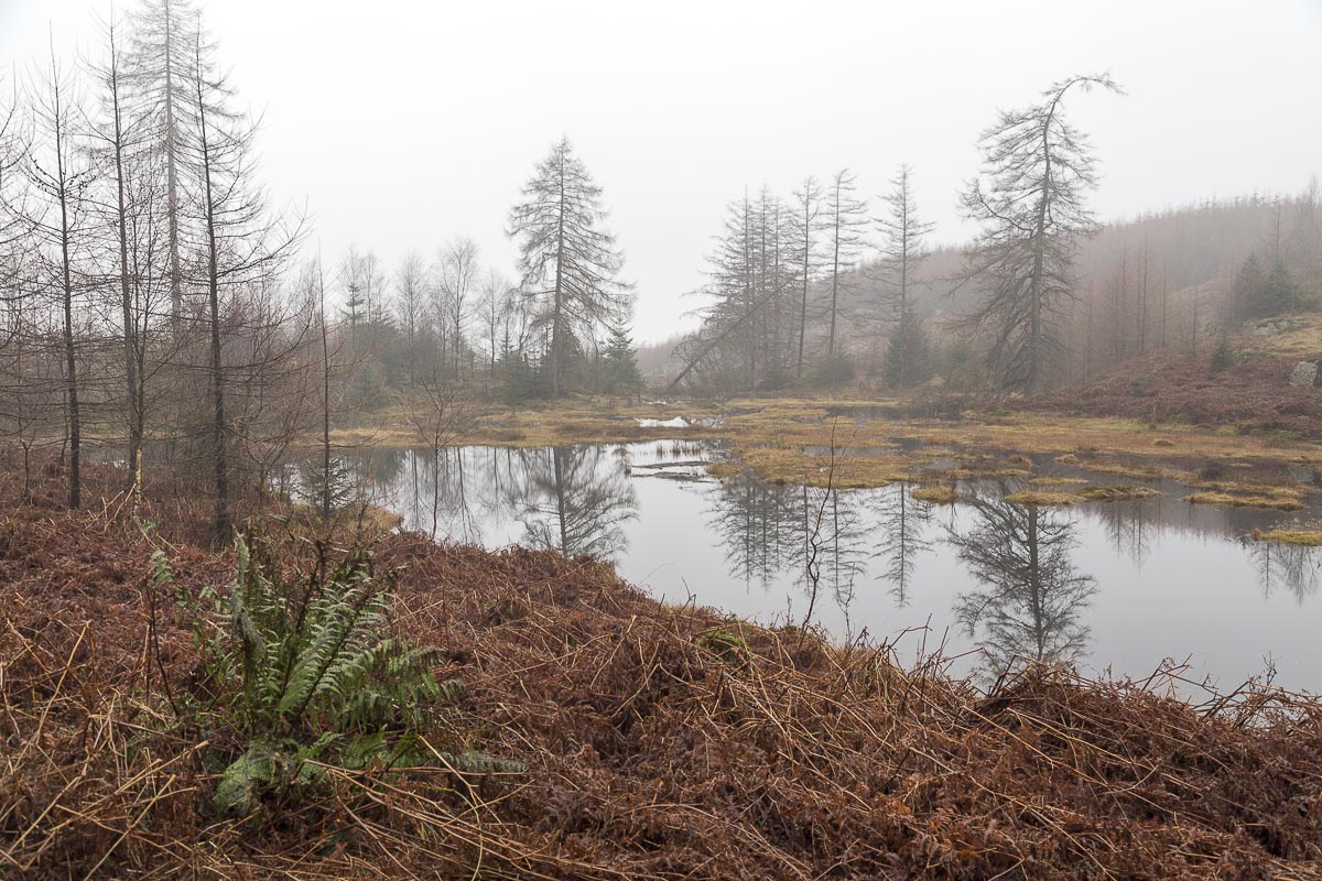 Lake District - Hilltop Circular Walk - January 20, 2014
