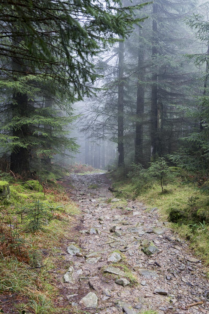 Lake District - Hilltop Circular Walk - January 20, 2014