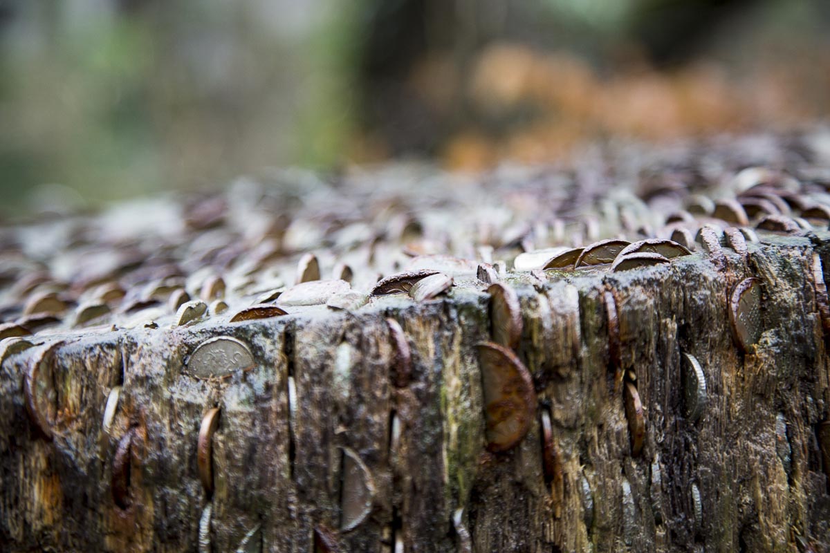 Lake District - Stockghyll Woods - January 19, 2014