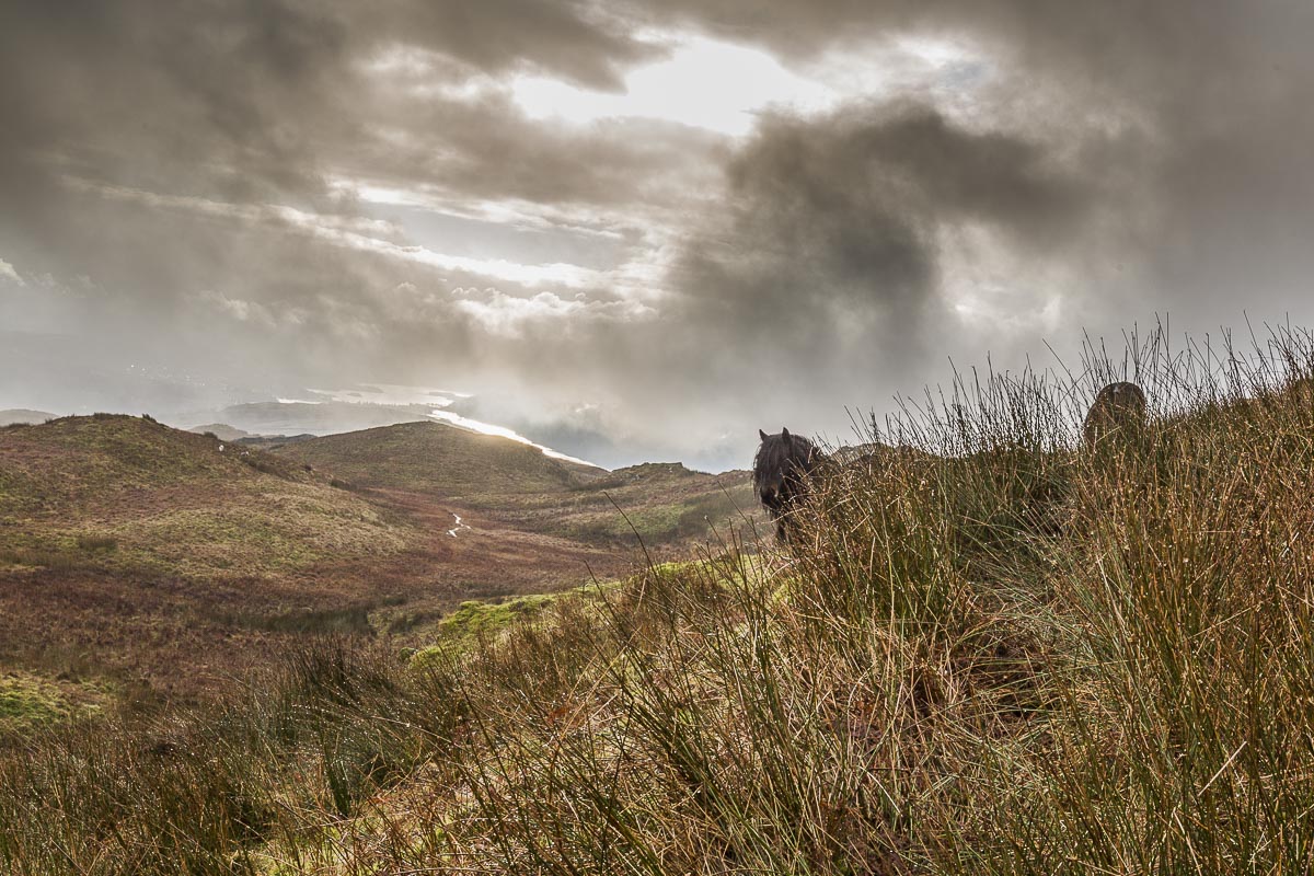 Lake District - Wansfell Pike Walk - January 19, 2014