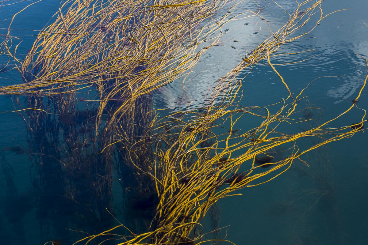 Isles Of Scilly - Eastern Isles - September 15, 2015