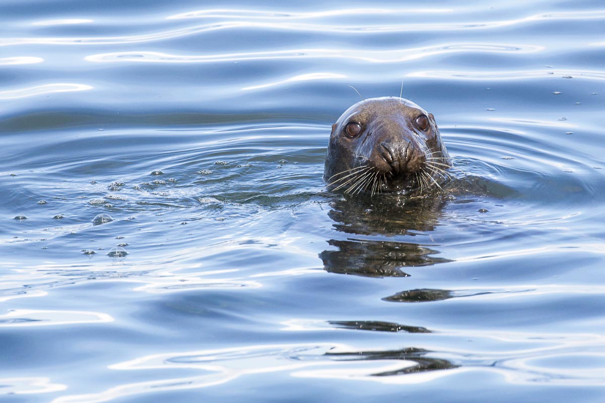 Isles Of Scilly - Eastern Isles - September 15, 2015