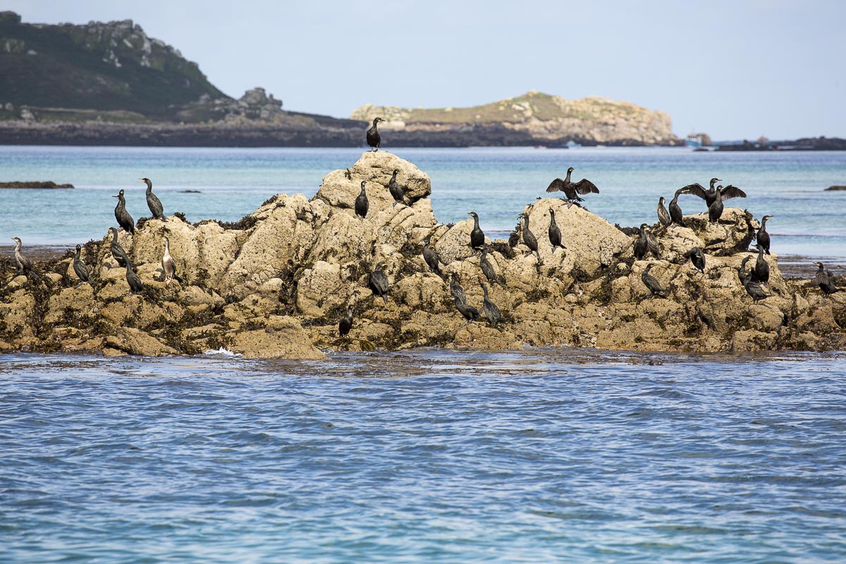 Isles Of Scilly - Eastern Isles - September 15, 2015