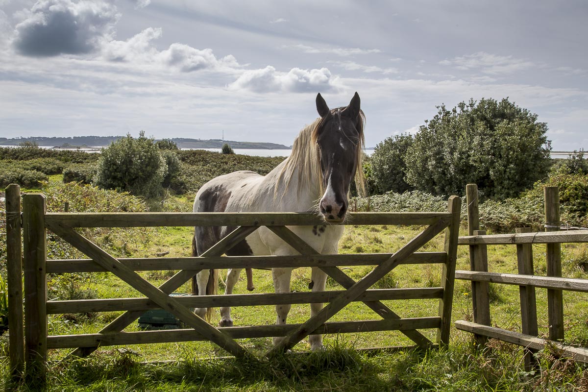 Isles Of Scilly - St. Martin's - September 15, 2015