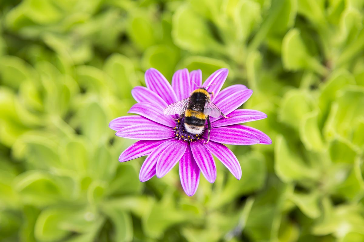 Isles Of Scilly - St. Martin's - September 15, 2015