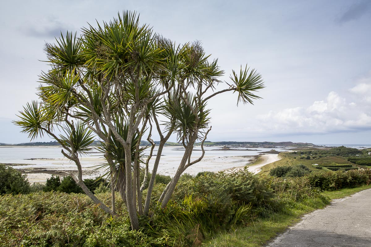 Isles Of Scilly - St. Martin's - September 15, 2015