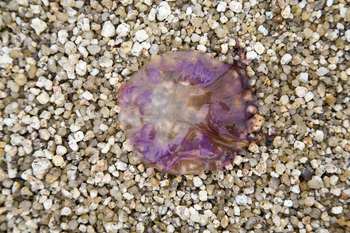 Isles Of Scilly - St. Mary's - September 13, 2015