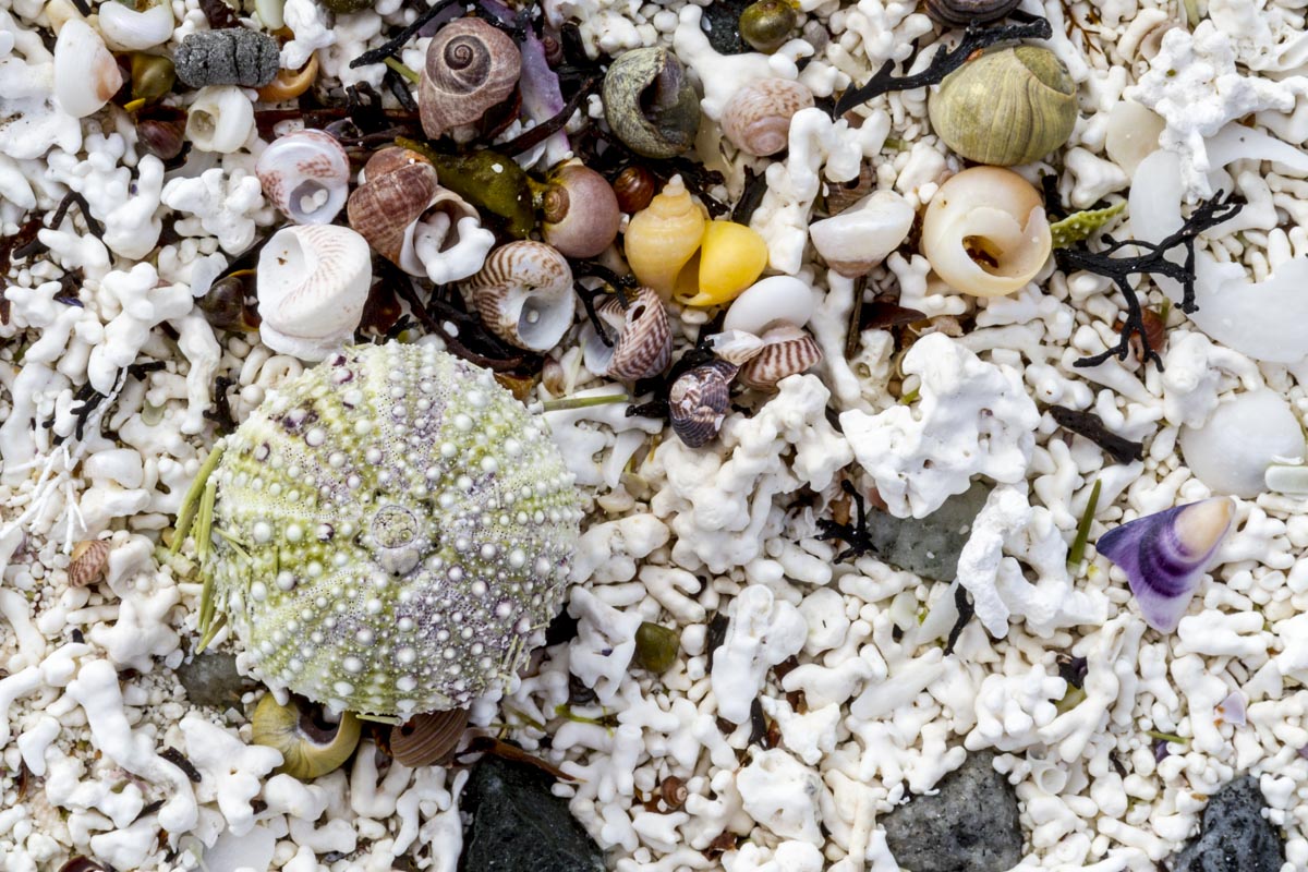 Norway – Senja and Vesteralen - Hamn Boat Trip - May 16, 2017