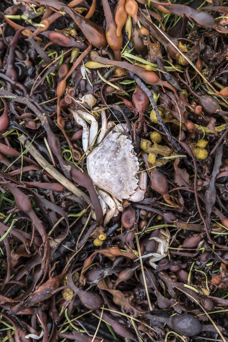Western Isles Scotland - Isle Of Canna - June 12, 2017